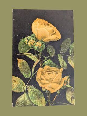 10/$25 Antique 1900s Postmarked Golden Age Floral Postcard German Yellow Rose
